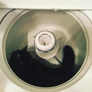 Meet your Posher, Jasmin